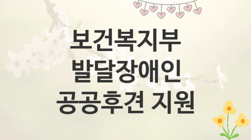 보건복지부
발달장애인 공공후견 지원