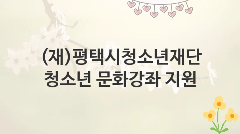 (재)평택시청소년재단
청소년 문화강좌 지원