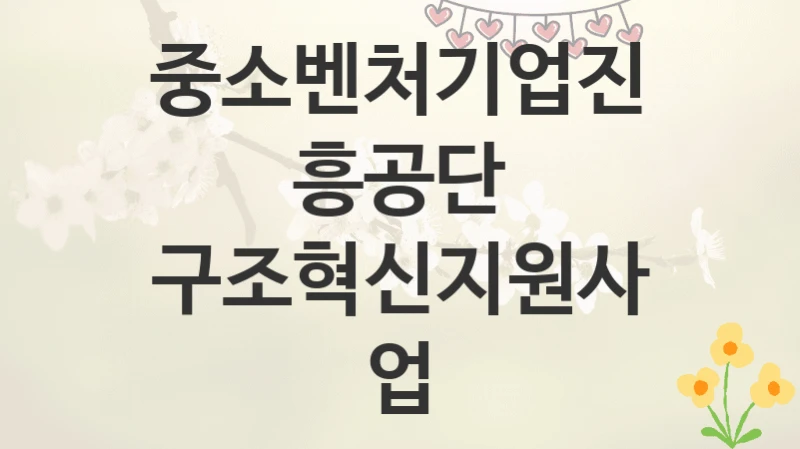 중소벤처기업진흥공단
구조혁신지원사업