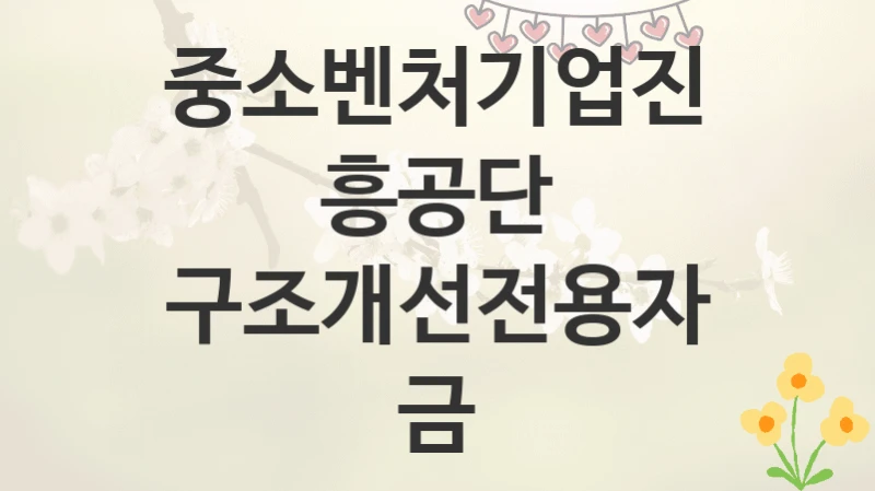중소벤처기업진흥공단
구조개선전용자금
