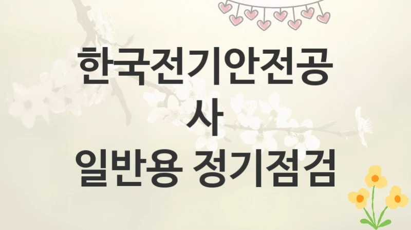 한국전기안전공사
일반용 정기점검