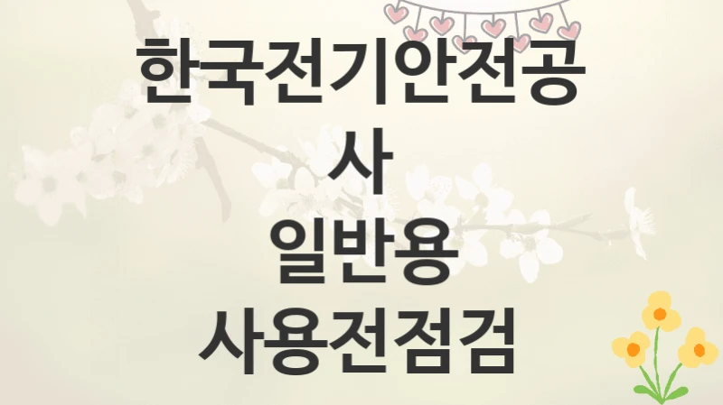 한국전기안전공사
일반용 사용전점검