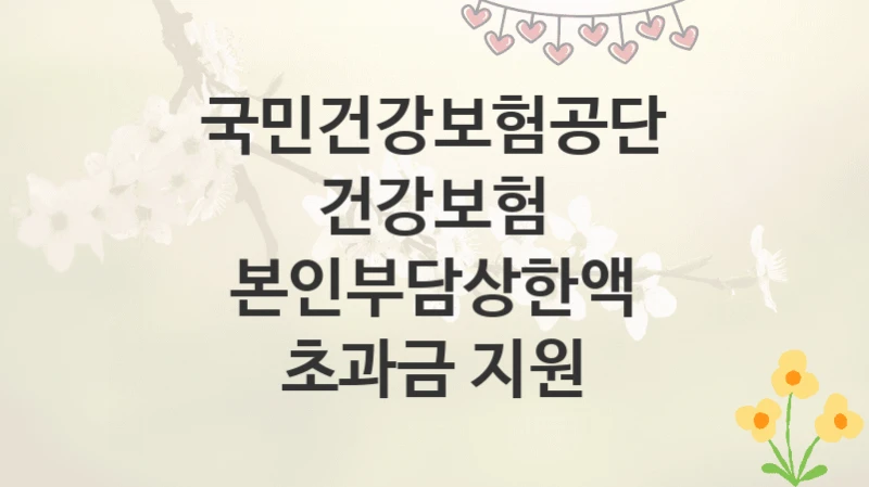 국민건강보험공단
건강보험 본인부담상한액 초과금 지원